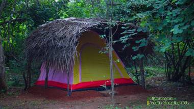 Sigiri Jungle Camping