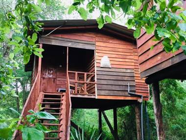 Tree house Hostel Sigiriya
