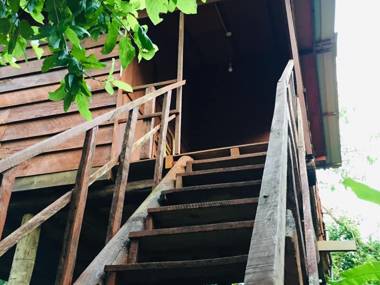 Tree house Hostel Sigiriya