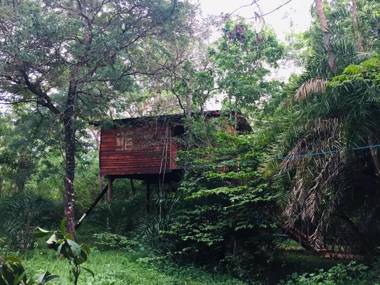 Tree house Hostel Sigiriya