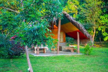 Elephant Lake Flower