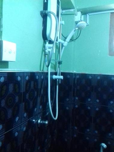 Moon Plains Forest Log