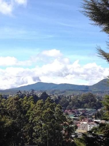 Sincere Wilderness Home stay