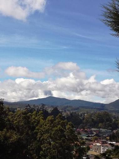 Sincere Wilderness Home stay