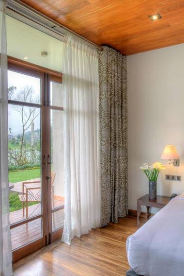 Tea Plant Nuwara Eliya