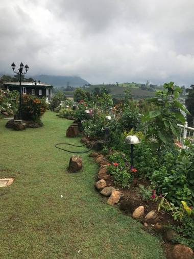 Misty Paradise of Lake Gregory