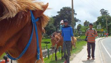 Burj Luxury Apartment