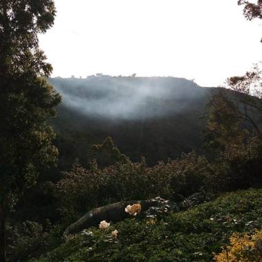 Green Gregory Villa Nuwara Eliya