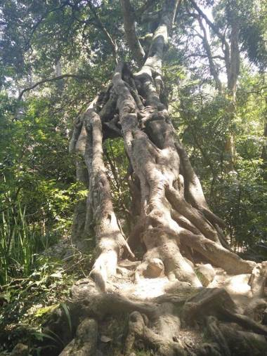 Bella Vista Luxury Apartments Nuwara Eliya Sri Lanka