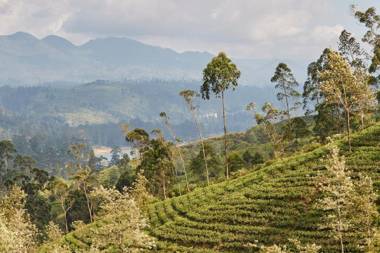 CLAVERTON by Ceylon Bungalows