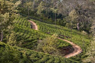 CLAVERTON by Ceylon Bungalows