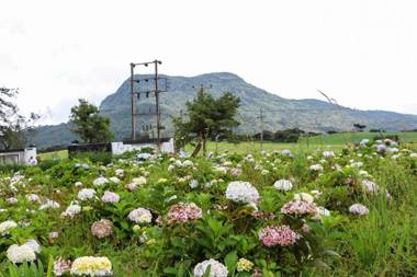 Windy Hills Holiday Bungalow