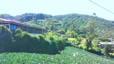 Windy Hills Holiday Bungalow