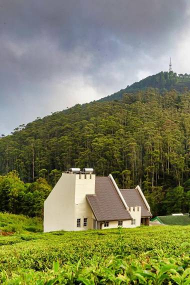 Wintry Hills By Lemas