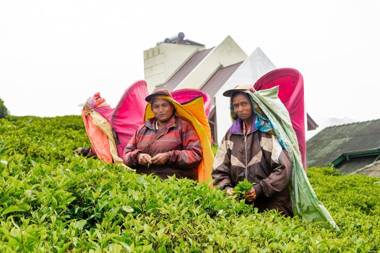 Wintry Hills By Lemas