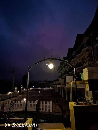 Flamingo's Nuwara Eliya