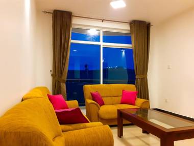 Flamingo's Nuwara Eliya