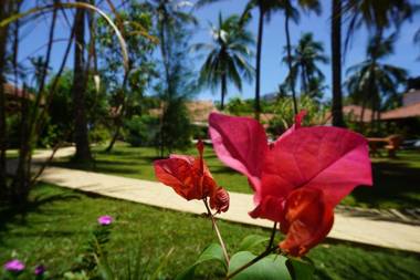 Puetz Travels Beach Resort