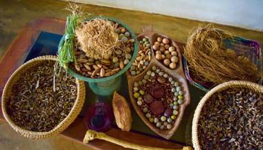 Rico Shadow Guest House & Restaurant