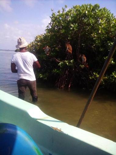 Lakshmi Family Villa