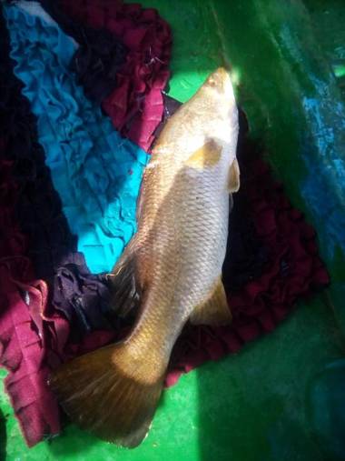 Lakshmi Family Villa