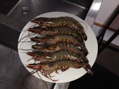 Miura Dutch Edge Hotel