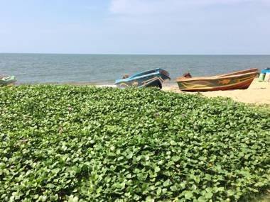 The Alexis's Guest House