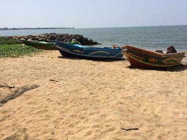 The Alexis's Guest House