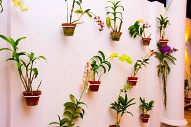 Negombo New Queen's Palace