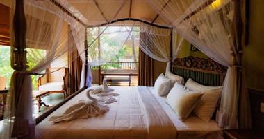 Ayur Ayur Resort & Ayurveda Retreat