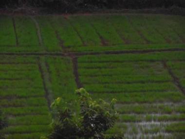 Mount View Villa Resort Mirissa