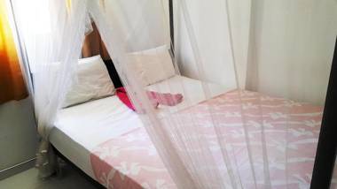 Mirissa Harbour View