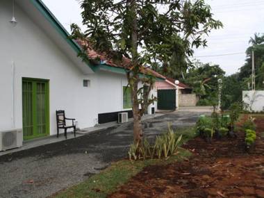 Green Banana Mirissa Hotel