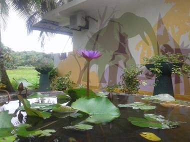 Paddy Field View Resort