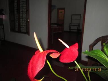 Ariyawansa Guest House