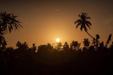 Your Dream Bungalow - Mirissa