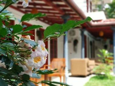 Mirissa Blue Whale Holiday Hotel