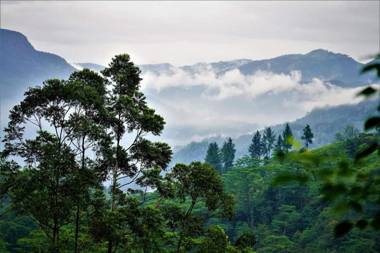 Maskeli Oya Family Park
