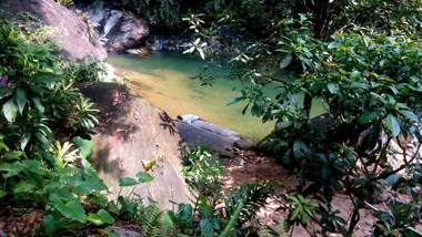 Gallene Gala Nature Resort