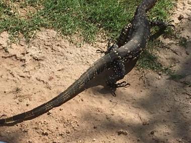 Anuhas Airport Villas