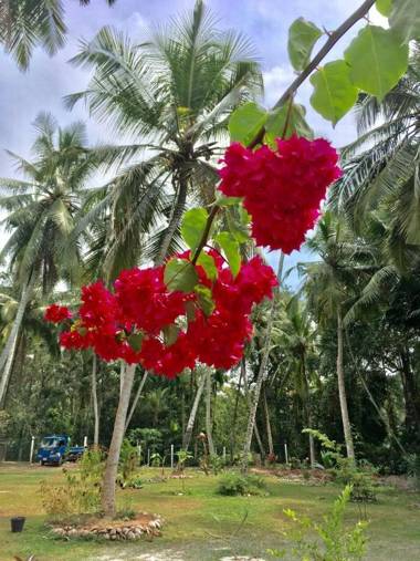 Anuhas Airport Villas