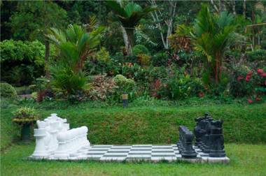 Ancoombra Tea Estate Bungalow