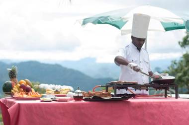 Hatale Tea Estate Bungalow