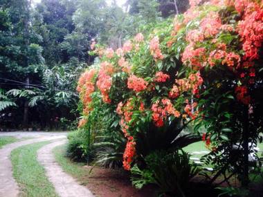 Yalegoda Walauwa Homestay