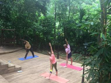 Le leopard d 'argent