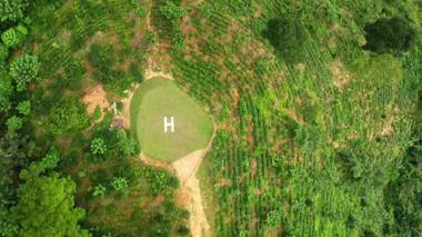 Simpson's Forest Hotel