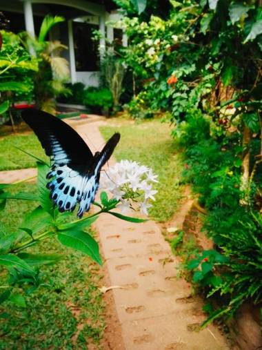 St Bridget's Country Bungalow