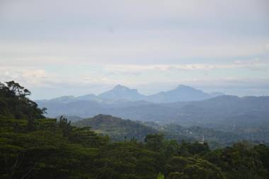 Bellwood Hills Resort & Spa