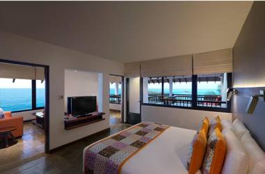 Hikka Tranz by Cinnamon