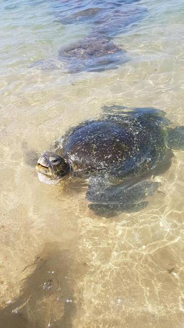 Guesthouse Kind and Love